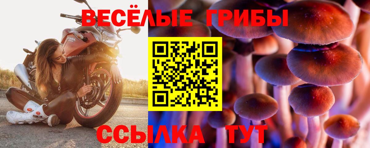 Псилоцибиновые грибы Psilocybine cubensis  Вход с VPN  где можно купить   Галлюциногенные грибы прущие грибы  Выборг 
